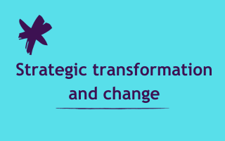 Strategic transformation and change