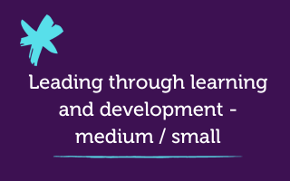 Leading through learning and development – medium / small